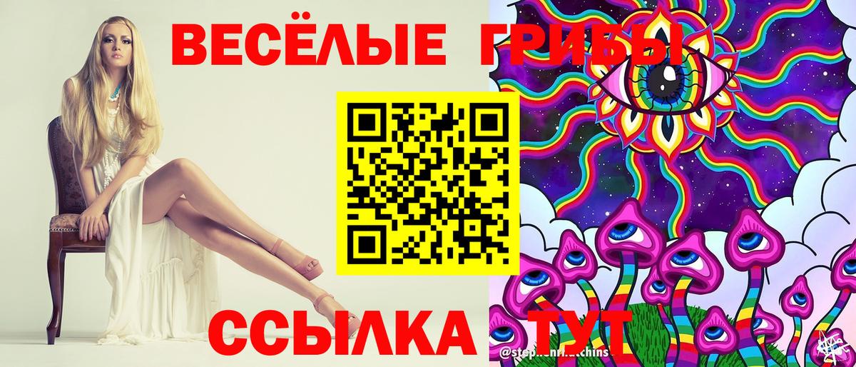 Галлюциногенные грибы GOLDEN TEACHER Ростов-на-Дону