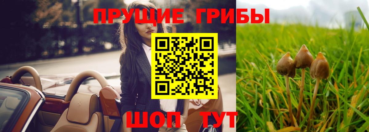 Псилоцибиновые грибы ЛСД  Псилоцибиновые грибы мухоморы  Ростов-на-Дону  Вход с VPN 
